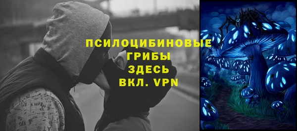 стафф Армянск