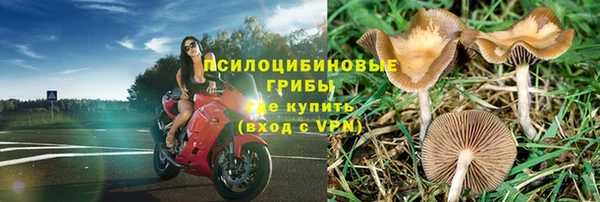 прущие крисы Алексин