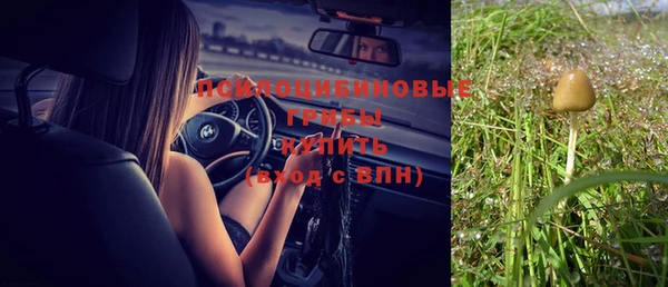 стафф Армянск