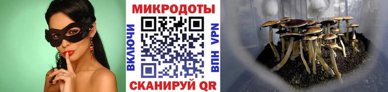 Псилоцибиновые грибы GOLDEN TEACHER где купить наркоту Рудня